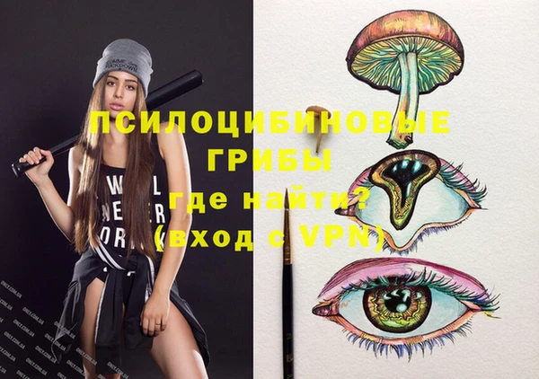ГАЛЛЮЦИНОГЕННЫЕ ГРИБЫ Богородицк